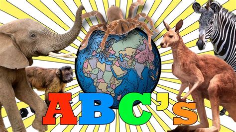 Animal Alphabet Song Abc Alphabet Songs For Kids Animal Alphabet