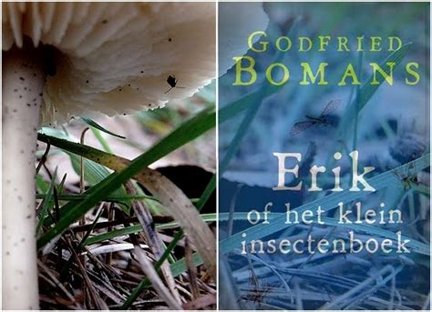 679 resultaten voor 'godfried bomans'. Pootjes & Co: Erik of het klein insectenboek