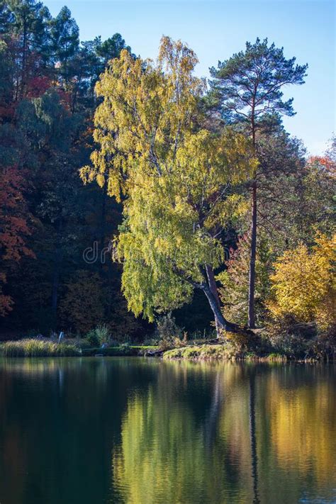 Green Lakes Six Lakes In Verkiai Regional Park Stock Image Image Of