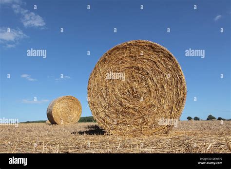 Suffolk Bales Hi Res Stock Photography And Images Alamy