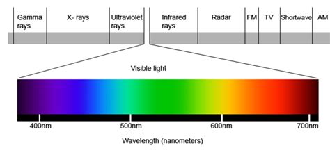 The visible spectrum is the portion of the electromagnetic spectrum ...