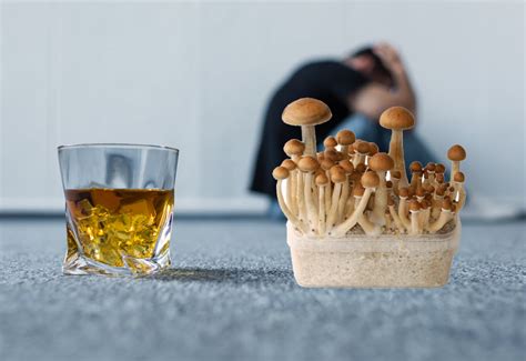 Best Chance For Someone To Beat Alcoholism Magic Mushrooms Doubles