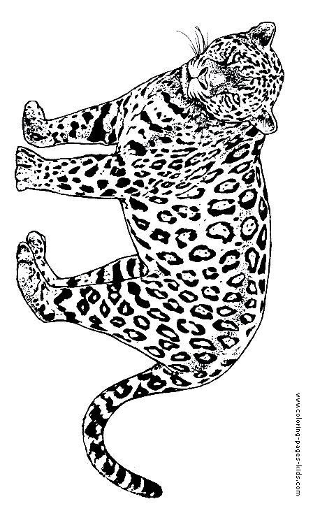 This coloring sheet by tiegern is free and can be downloaded and printed out. Cheetah color page | Lion coloring pages, Dolphin coloring ...