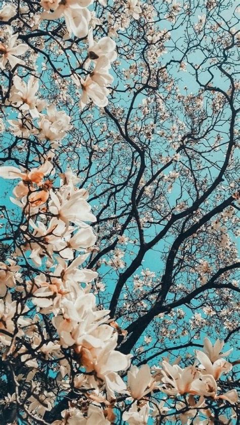 صور خلفيات | موقع صور اكبر موقع صور عربي لتحميل الصور والخلفيات و غلاف فيس بوك خلفيات بلاك بيري , خلفيات جوال وايفون مجانا و جميع الصور جودة عاليه , تحميل صور مباشر صور خلفيات جديدة 2020 • تطبيق رفيق