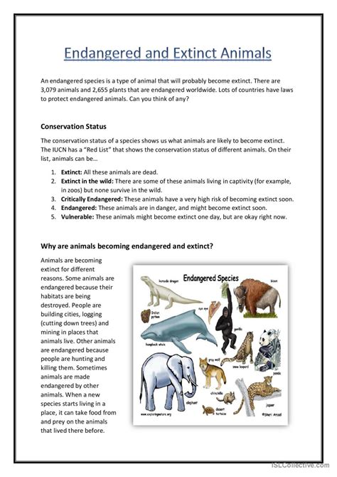 Endangered And Extinct Animals Readin English Esl Worksheets Pdf And Doc