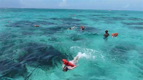 Snorkeling In Grand Cayman Cayman Islands September 27 2012 Youtube