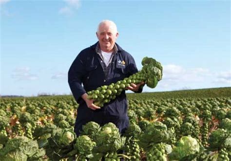 Morrisons To Highlight Provenance Of Scottish Food Farming Uk News
