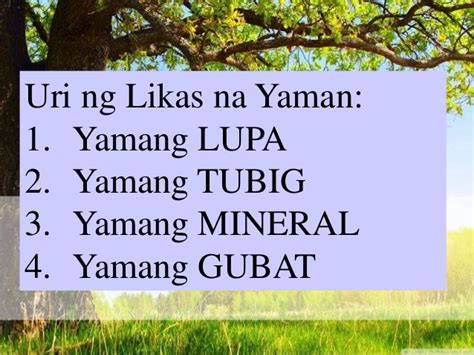 Ano Ang Likas Na Yaman Ng Pilipinas Nangsapina