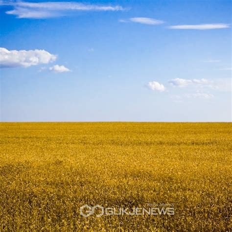 국기(國 旗)란, 한 국가를 상징하는 기(旗)를 말한다. 우크라이나의 국기 의미 아시나요?
