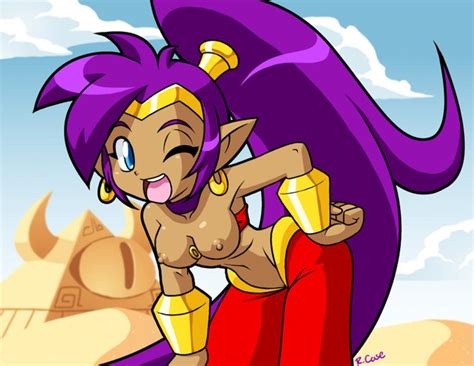 1689370 Shantae Shantae Character Shantae And The Pirate Cunts
