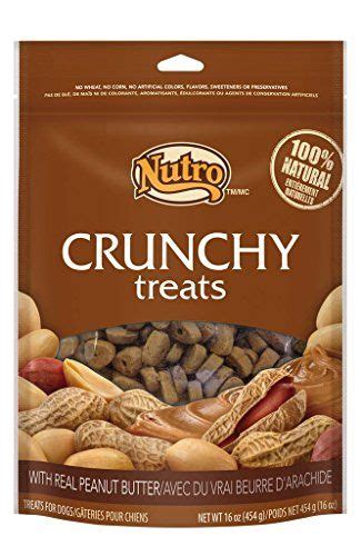 Nutro Crunchy Dog Treats With Real Peanut Butter 16 Oz Bag Peanut