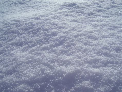 Free Snow Texture Stock Photo