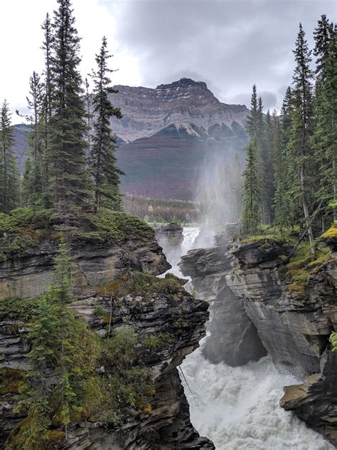 Athabasca Falls Jasper National Park Routdoors
