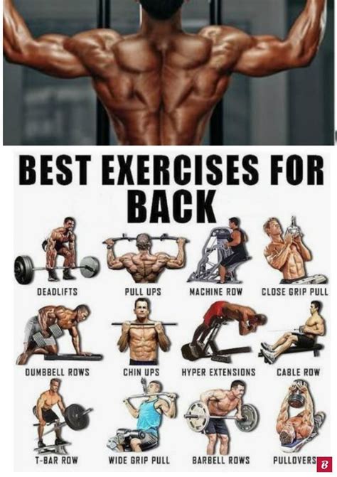 Best Workout For Back Gym Back Workout Bodybuilding Back Workout