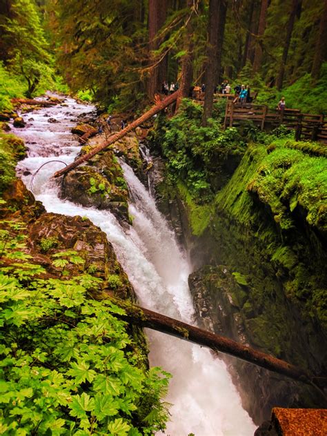 Mossy Gorge And Waterfalls In Rainforest Sol Duc Falls Olympic National