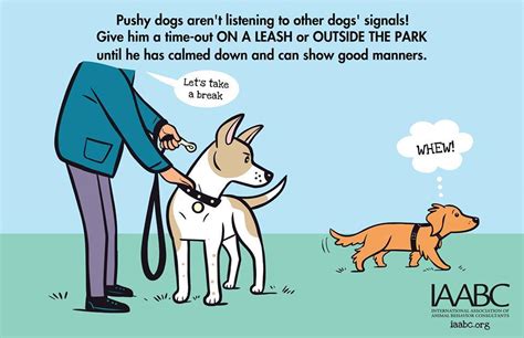 Carroll university's animal behavior program is one of the few undergraduate programs of its kind in the nation. These Posters Could Save Your Dog's Life At The Dog Park