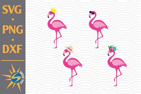 Flamingo Svg Png Dxf Digital Files Include By Svgstoreshop Thehungryjpeg