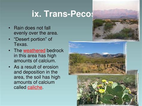 Ppt Texas Ecoregions Powerpoint Presentation Id741654