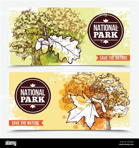 Horizontal National Park Banners With Sketch Deciduous Trees And Leaves