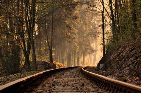 Railroad Forest Train Tracks Trees Wallpaper 3602x2398 128222