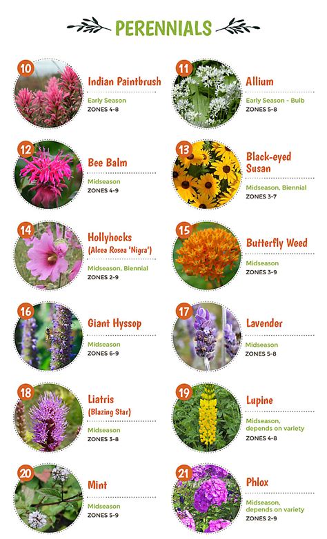 Flowering herbs work well to attract bees because of their strong scent. Top 30 Plants That Attract Pollinators