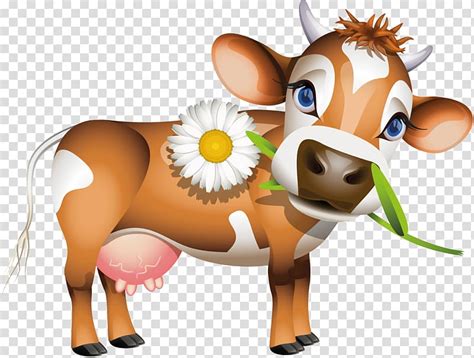 Brown And White Cattle Biting White Daisy Illustration Jersey Cattle