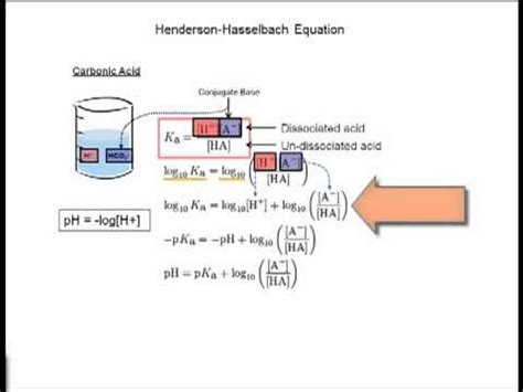 Hendersonhasselbalch Equation