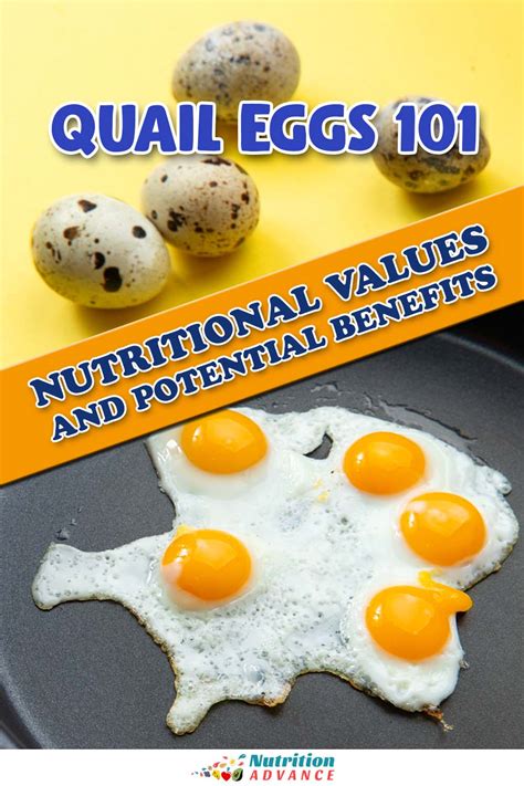 Raw Quail Egg Nutrition Facts Besto Blog