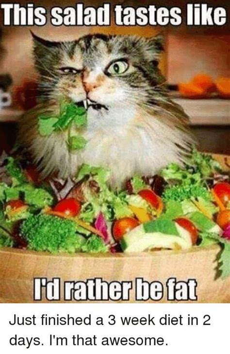 20 Funny Life Changing Eating Healthy Memes In 2020