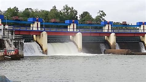 Gates of aruvikkara dam open due to heavy rain. Aruvikkara Dam - ( അരുവിക്കര ഡാം ) - YouTube