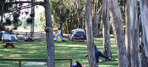 Pescadero California Tent Camping Sites Santa Cruz North Costanoa Koa