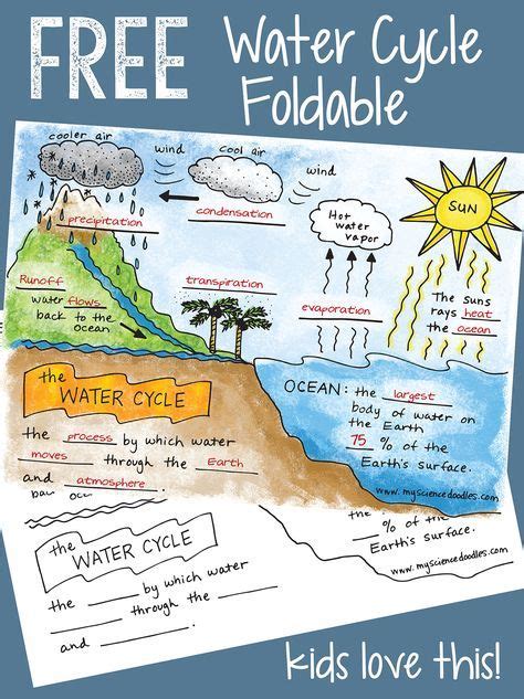 Free Water Cycle Interactive Notebook Activities And More Interactive