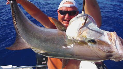 Amberjack Good To Eat Or Throw Back Page 2 — Florida Sportsman