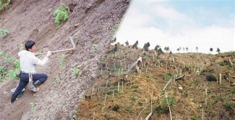 หนุ่มใช้เวลา30ปี ทุ่มเงิน200ล้าน ปลูกต้นไม้3แสนต้น จากภูเขากองขยะ ...