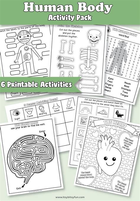 Body parts worksheets are great for children learning the names for parts of the body. Human Body Worksheets - itsybitsyfun.com | Human body ...