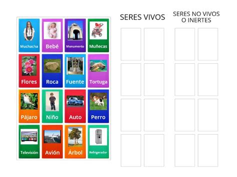 Seres Vivos Y No Vivos Group Sort