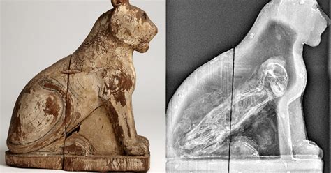 Secret Of Ancient Egyptian Animal Mummies Revealed Nbc News