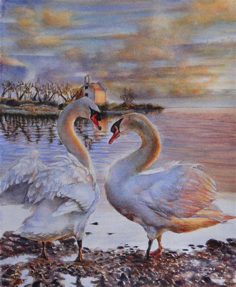 Swan Original Watercolour Painting Realistic Landscape Etsy