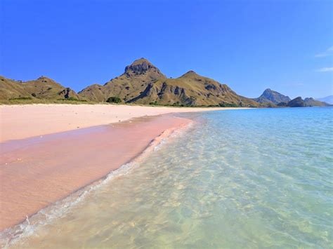 Long Beach One Of The Pink Beaches In Komodo National Park Be Borneo