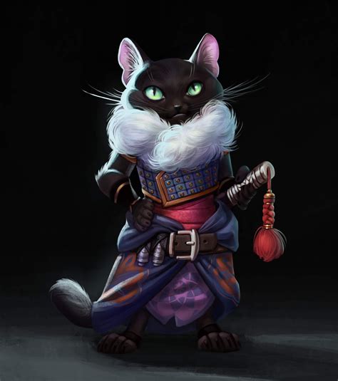 Art Kimistry Character Design Challenge Ninja Cat