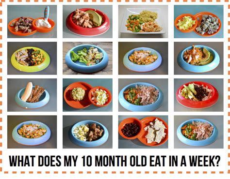 What Does My 10 Month Old Eat in a Week? | Baby food recipes, 10 month