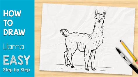 How To Draw A Llama In 5 Minutes Easy Step By Step Youtube