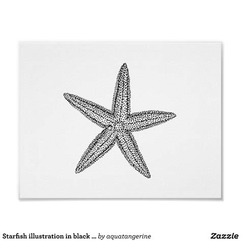 Starfish Illustration In Black And White Poster Zazzle Black And