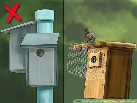 According to plasticine house, birds are deterred by shiny, moving objects. 3 Ways to Deter House Wrens from Nestboxes - wikiHow