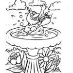 Birds Bird Bath – Animals Coloring Book Pages – Kids Time Fun Places to