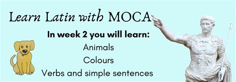 learn latin with moca faculty of classics