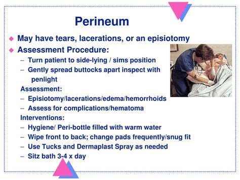 Ppt Normal Postpartum Summer 2011 Powerpoint Presentation Free