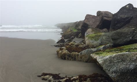 Humboldt Bay California Fenleys Footprints