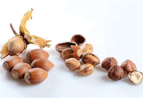 Nutrition Comparison Hazelnut Vs Macadamia Nut
