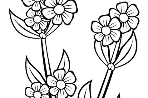 Bunga Gambar Kartun Hitam Putih Simple Gambar Sketsa Bunga Yang Mudah